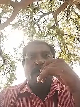 ApposedBearingtamilnadu