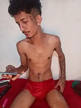 OCamBoy