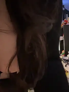 Evemeqt