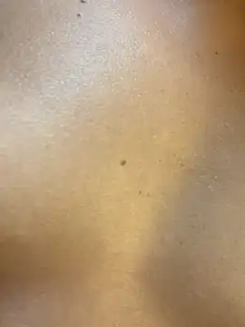 lilybeeth