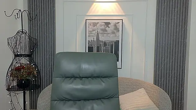 auravg webcam