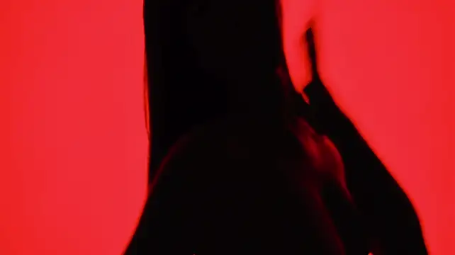 SeekLgt-001
