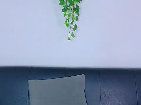 TylerWest_ webcam