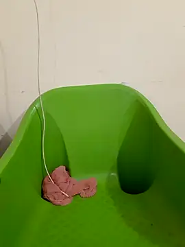 Navya6879 webcam