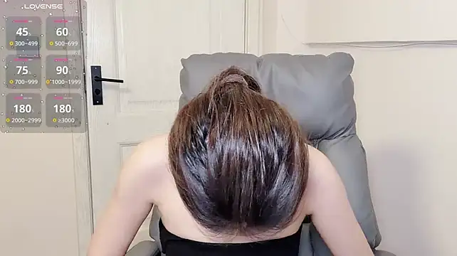 H-2005 webcam