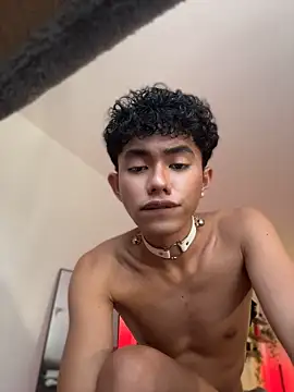 Dark_Asian1 live cam on StripChat