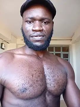 kingdev666
