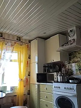 _uncle_Mitya-43_ webcam