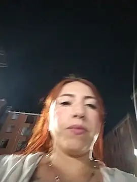 Sofhi_a20 webcam