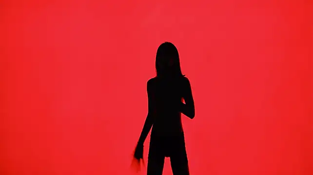 SeekLgt-001