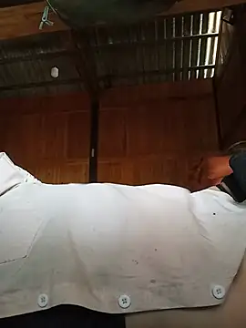 Linda-04 webcam