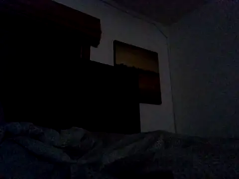 Blkstylion webcam