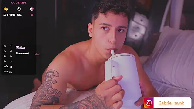 I_Gabriel webcam