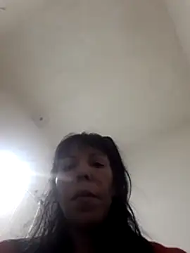 vio86 webcam