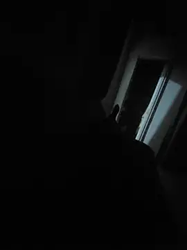 pretosali webcam