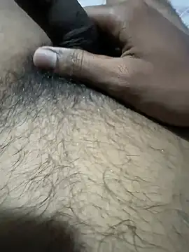 MSCHF666 webcam
