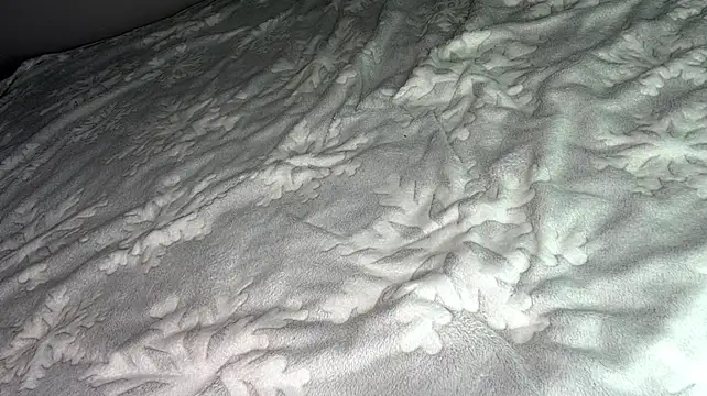OdetteTrentinella