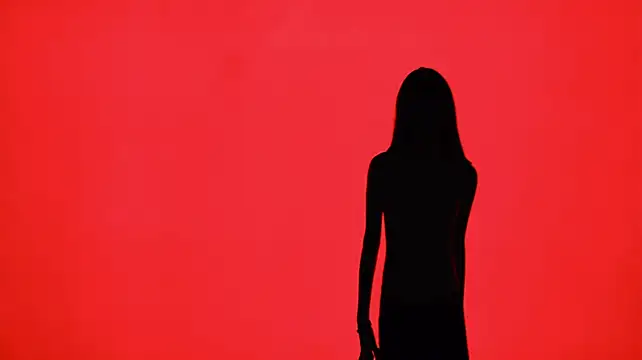 SeekLgt-001