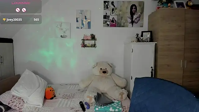 Veronikolsen- webcam