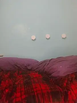 ReallyReallyReal webcam