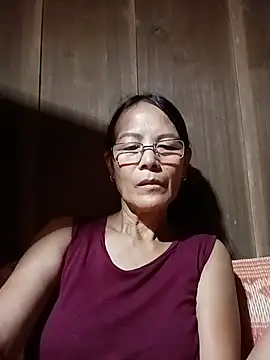 toyo_668 webcam