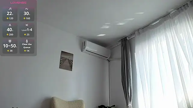 JullyFox webcam