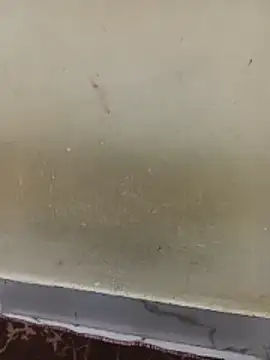 Kittu_Rani25