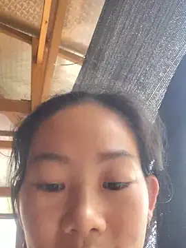 Willow-ww