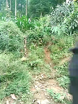 Tieuvy122 webcam