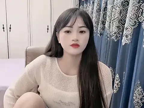 sjsibi webcam