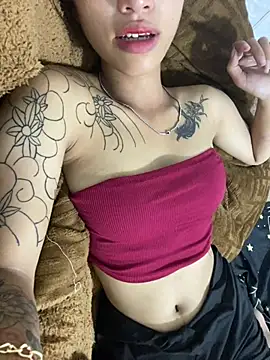 Bao-minh webcam