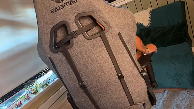 SandyChris