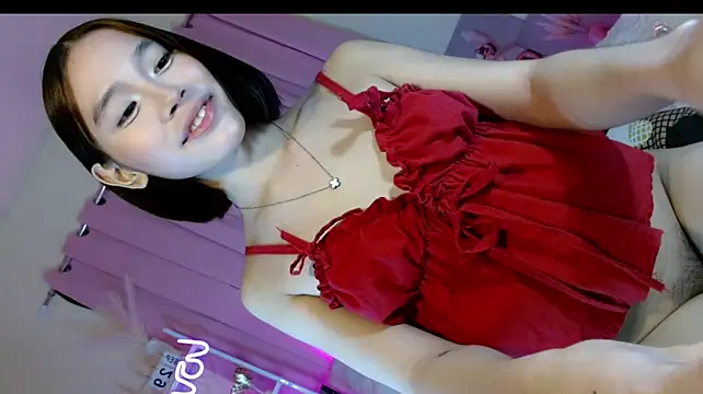 Live-Webcam-Vorschaubild von Nina_Doll8 mit #girls und #hd