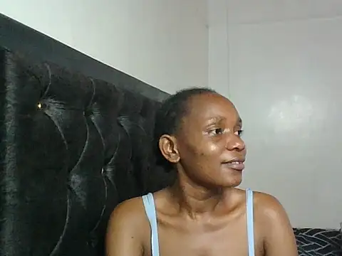 Pixieluck webcam