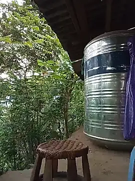 Td3di