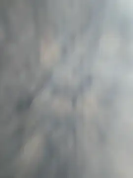 vivodan