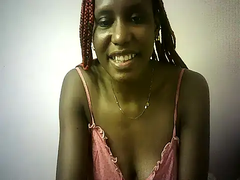 DelteAfriq webcam