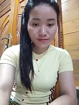 Td3di webcam