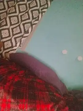 ReallyReallyReal webcam