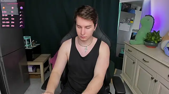 Vincent_Strong webcam