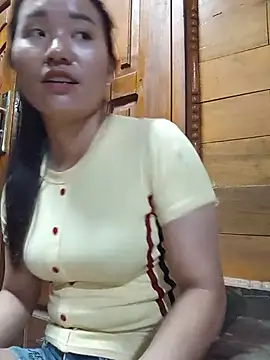 Td3di webcam
