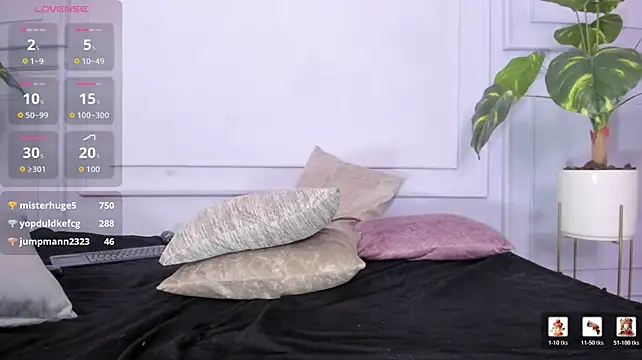 Dantzel_ webcam