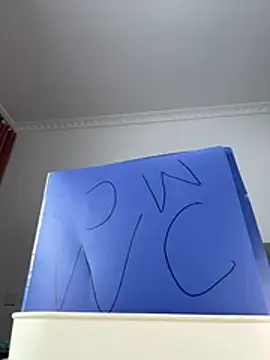 Cheating-wife webcam