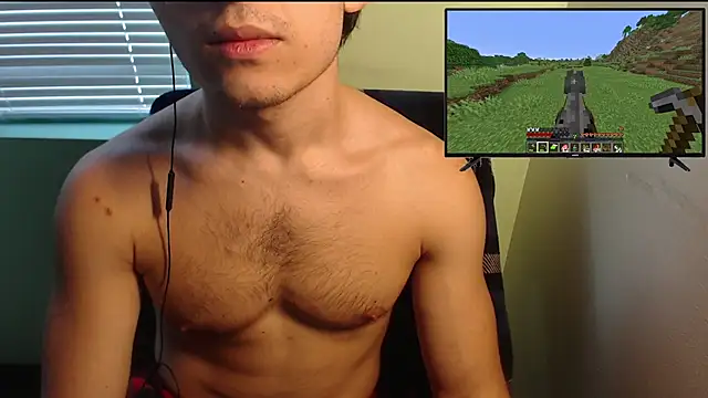 the1invisibleboy webcam