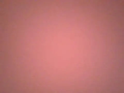 Lovensetest webcam