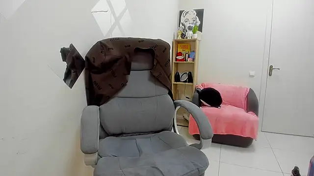 Doliss webcam