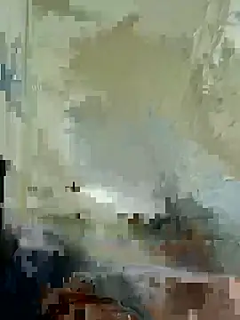 krak webcam