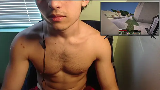 the1invisibleboy webcam