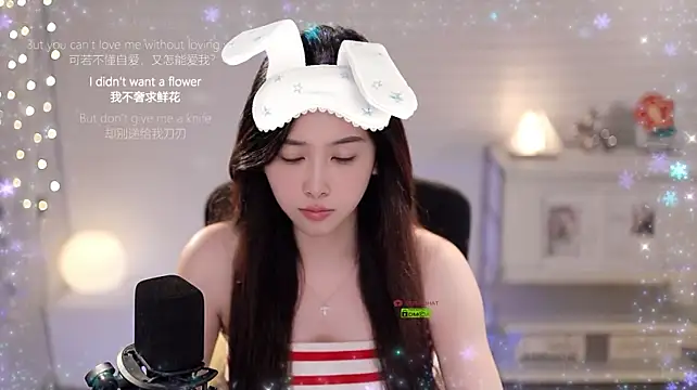 SleepArtist webcam