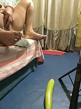 Desiparihot webcam